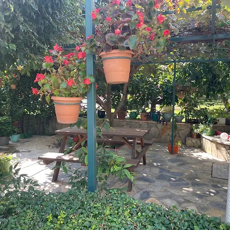 Gold Sun Apartment Mahmutlar