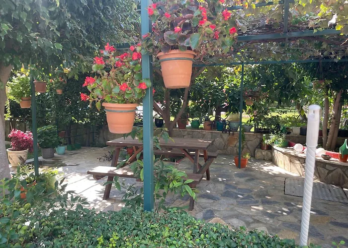 Gold Sun شقة ماهموتلار