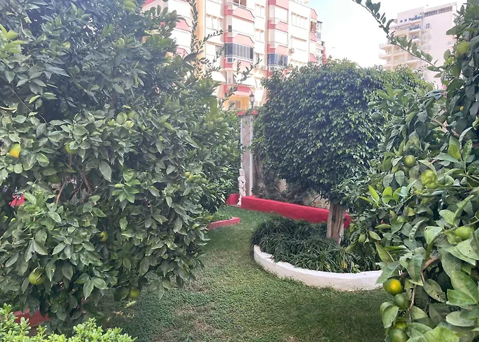 Gold Sun ماهموتلار