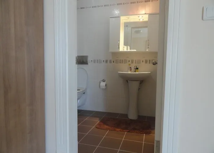 Gold Sun ماهموتلار