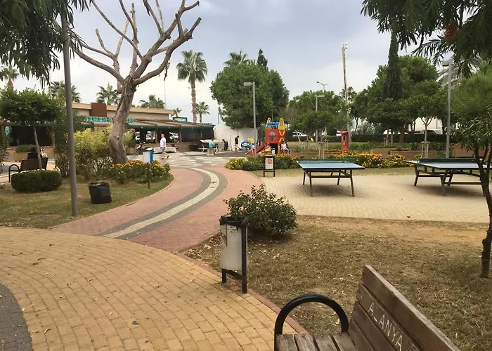 Gold Sun * ماهموتلار